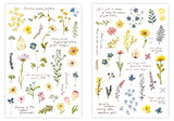 Pion Print-on Sticker / Plants