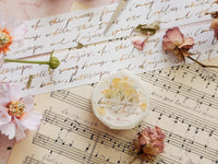 10% off - Meow / Buttercup & Daisy Handwriting Masking Tape