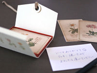 Picture Book Style Message Cards with a Case / Alpine Plants