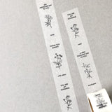 Botanical Garden Japanese Washi Tapes / Message