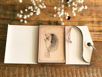 Picture Book Style Message Cards with a Case / Forrest Animals