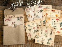 Picture book Style memo letter paper set with case / Plants