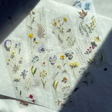 Pion / Watercolor Pressed Flowers PET Tape