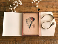 Picture Book Style Message Cards with a Case / Birds