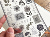 Pressed Flower Sheet of Stickers / Charcoal