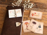Picture Book Style Message Cards with a Case / Forrest Animals
