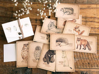 Picture Book Style Message Cards with a Case / Forrest Animals