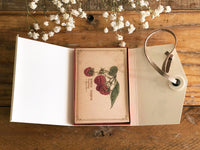 Picture Book Style Message Cards with a Case / Tree Nuts