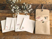 Picture book Style memo letter paper set with case / Plants