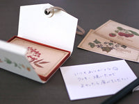 Picture Book Style Message Cards with a Case / Tree Nuts