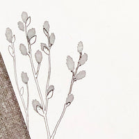 High Quality Botanical Garden Letterpress Postcard - Pussy Willow