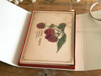 Picture Book Style Message Cards with a Case / Tree Nuts