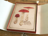 Picture Book Style Message Cards with a Case / Mushroom