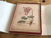 Picture Book Style Message Cards with a Case / Alpine Plants