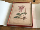 Picture Book Style Message Cards with a Case / Alpine Plants
