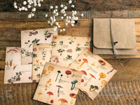 Picture book Style memo letter paper set with case / Plants