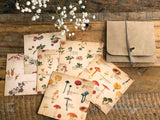 Picture book Style memo letter paper set with case / Plants