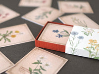 Picture Book Style Mini Message Cards in a matchbox / Wild Flowers