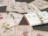 Picture Book Style Message Cards with a Case / Wild Flowers