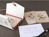 Picture Book Style Message Cards with a Case / Wild Flowers