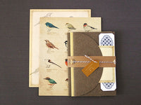 Picture book Style letter set / Birds
