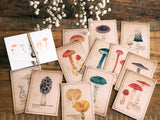 Picture Book Style Message Cards with a Case / Mushroom