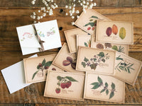 Picture Book Style Message Cards with a Case / Tree Nuts