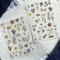Pion Print-on Sticker / Pressed Flowers