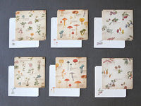 Picture book Style memo letter paper set with case / Plants