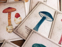 Picture Book Style Message Cards with a Case / Mushroom