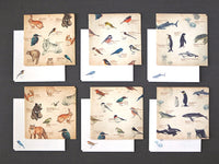 Picture book Style memo letter paper set with case / Animals
