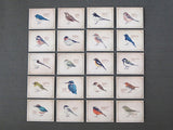 Picture Book Style Mini Message Cards in a matchbox / Birds