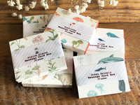 Picture Book Style Mini Message Cards in a matchbox / Birds