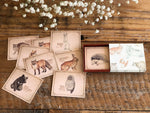 Picture Book Style Mini Message Cards in a matchbox / Forest Animals