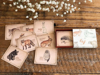 Picture Book Style Mini Message Cards in a matchbox / Forest Animals
