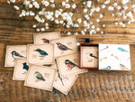 Picture Book Style Mini Message Cards in a matchbox / Birds