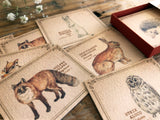 Picture Book Style Mini Message Cards in a matchbox / Forest Animals
