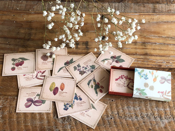 Picture Book Style Mini Message Cards in a matchbox / Tree Nuts