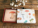 Picture Book Style Mini Message Cards in a matchbox / Mushroom