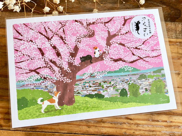Tabineko Postcard - Spring