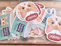 On Sale / Felissimo Cat Club Flake Stickers - Mint