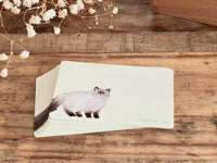 Yonezu Yusuke Message Cards - Cat