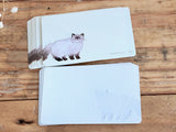 Yonezu Yusuke Message Cards - Cat