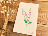 High Quality Botanical Garden Letterpress Postcard - Sage