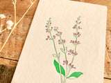 High Quality Botanical Garden Letterpress Postcard - Sage