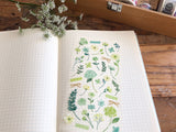 Botanical Watercolor Sheet of Stickers / Green