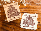 Botanical Wooden Stamp / Pine Tree