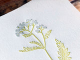 High Quality Botanical Garden Letterpress Memo Pad - Yarrow