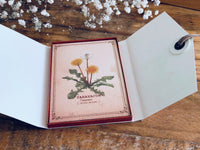 Picture Book Style Message Cards with a Case / Wild Flowers