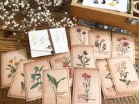 Picture Book Style Message Cards with a Case / Wild Flowers